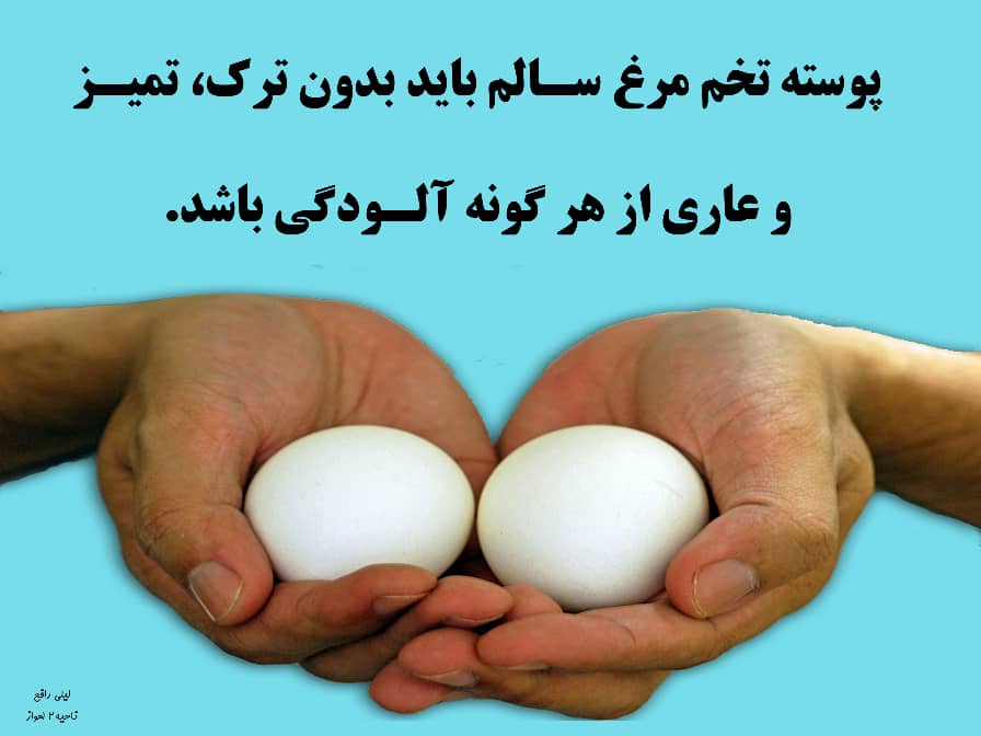 پوستر روز جهانی تخم مرغ