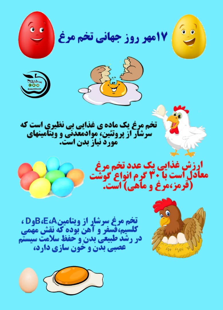 روز جهانی تخم مرغ 1400
